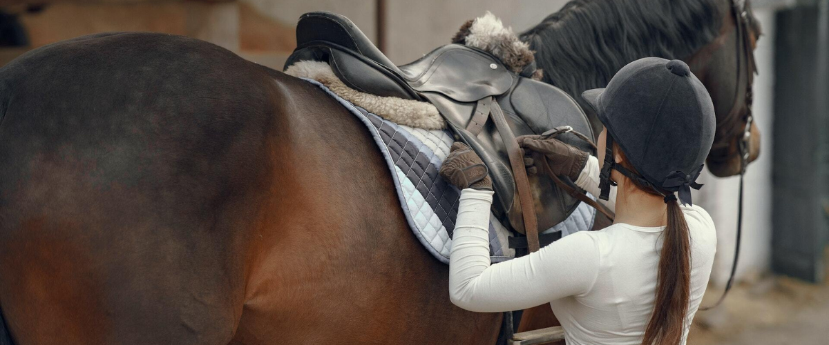 Just Horse Riders - Country, Equestrian Wear and Equestrian Supplies