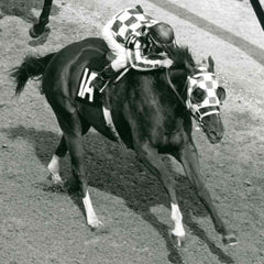 SECRETARIAT - THE TRIPLE CROWN LEGEND