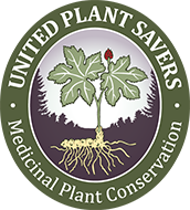 united plant savers endangered herbs herbalist golden seal ginseng