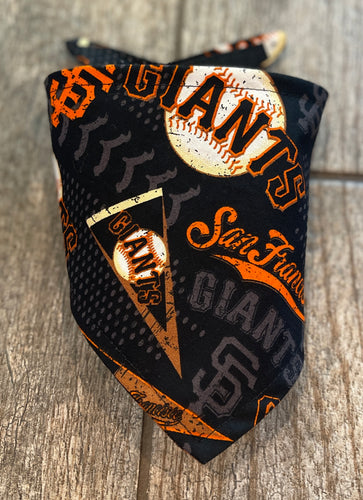 Las Vegas Raiders Bandana – Brewer's Bandanas