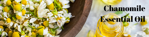 Chamomile leaves and petals