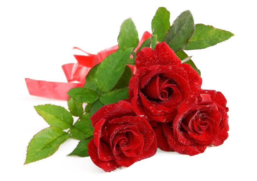 Un bouquet de roses rouges 