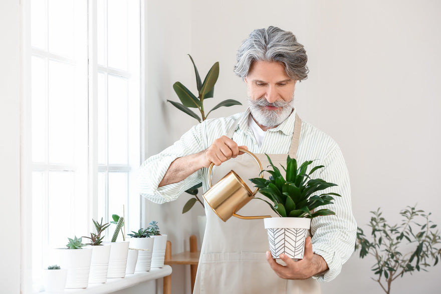 Le papy arose la plante