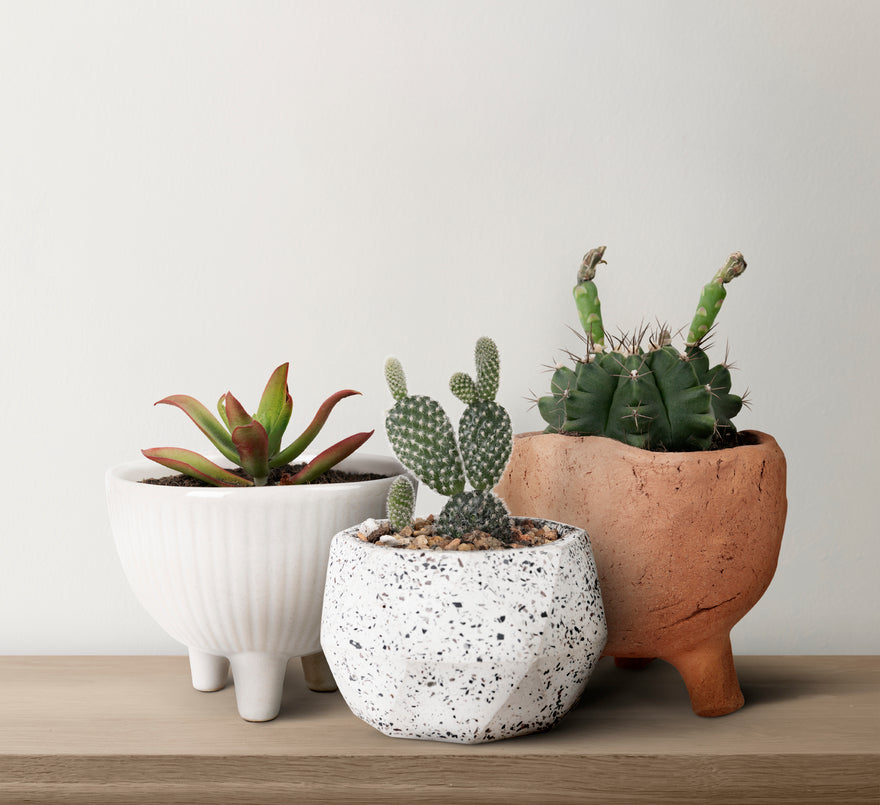 3 pots à plante 