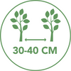 Planteavstand hekk 30-40 cm