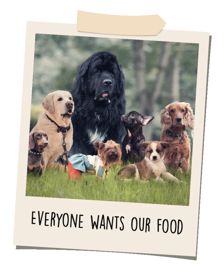 everyone-wants-our-food.png__PID:08eebea9-9f02-4301-bb05-8637f5269f00