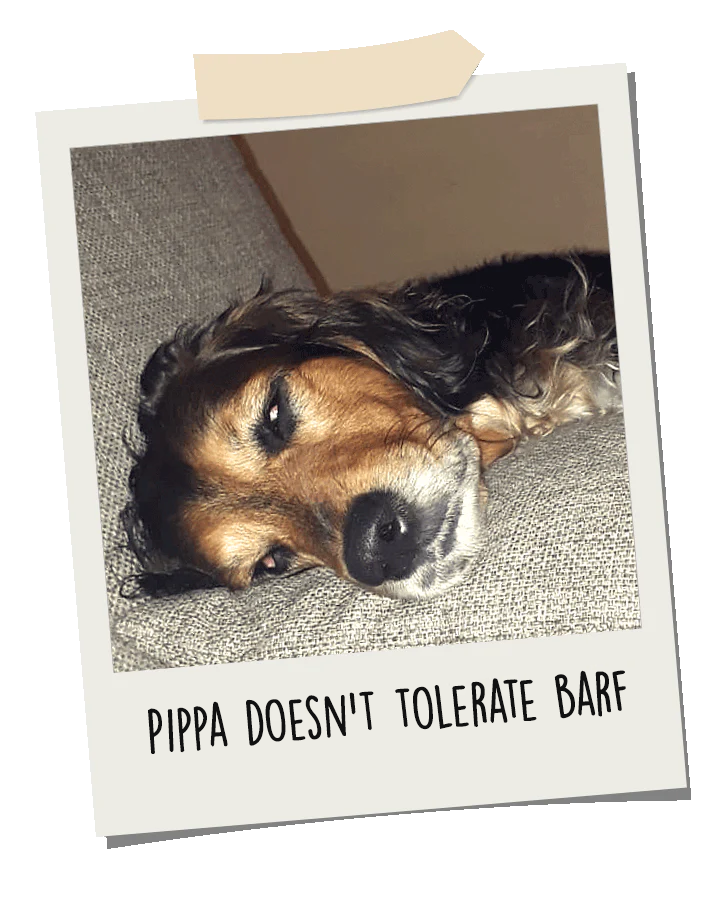 pippa-doesnt-tolerate-barf.png__PID:74e50da4-08ee-4ea9-9f02-f301bb058637