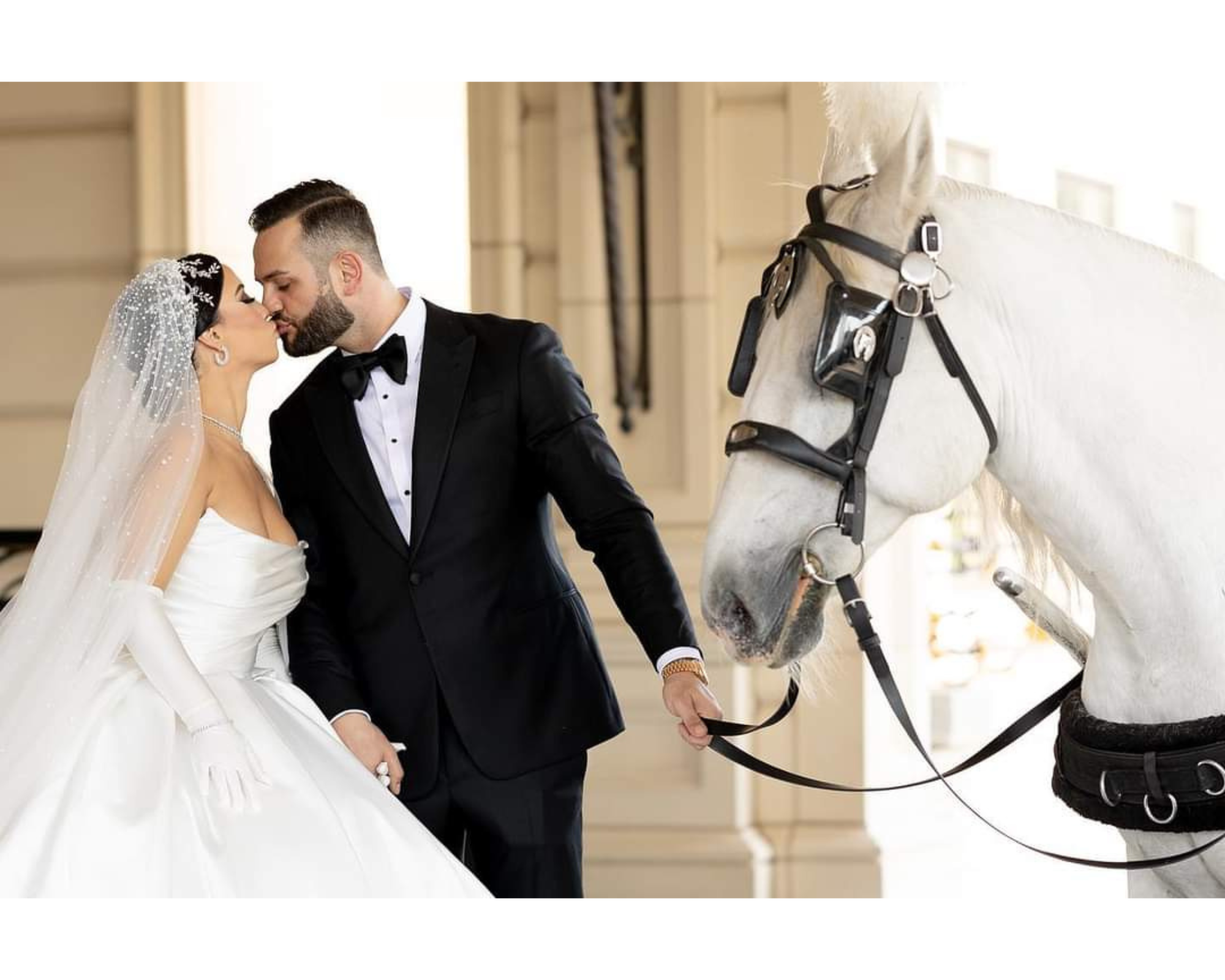 A fairytale wedding moment as a bride and groom kiss beside a beautiful white horse!