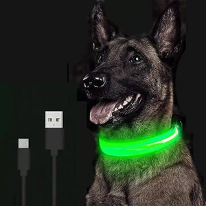 Adjustable LED Pet Collar - GLR SHOPPING