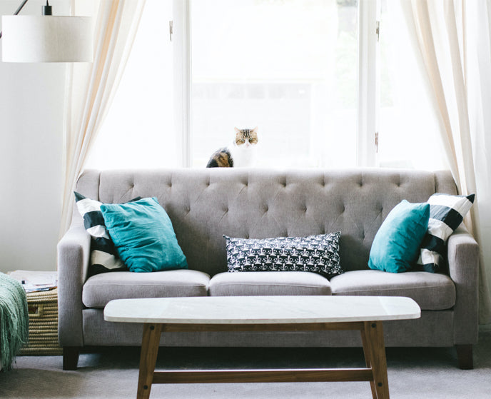 warm grey sofa