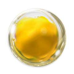 2.png__PID:b4356958-06ed-49e7-9c35-4f653be413ad