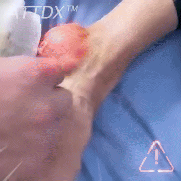GIF 1.gif__PID:2d6ecf64-b7be-42dd-8945-aa6b645571d9
