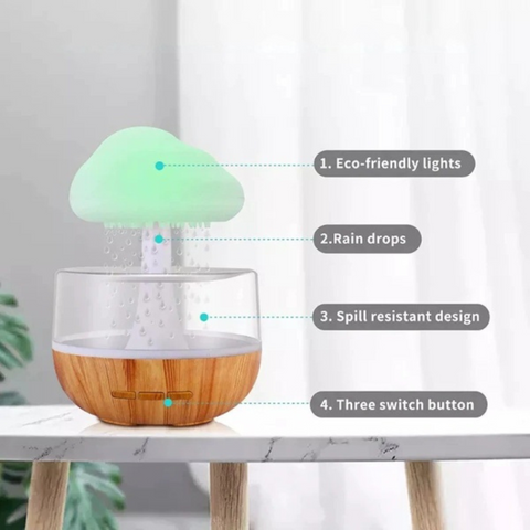 Rain Cloud Humidifier – IKARYS