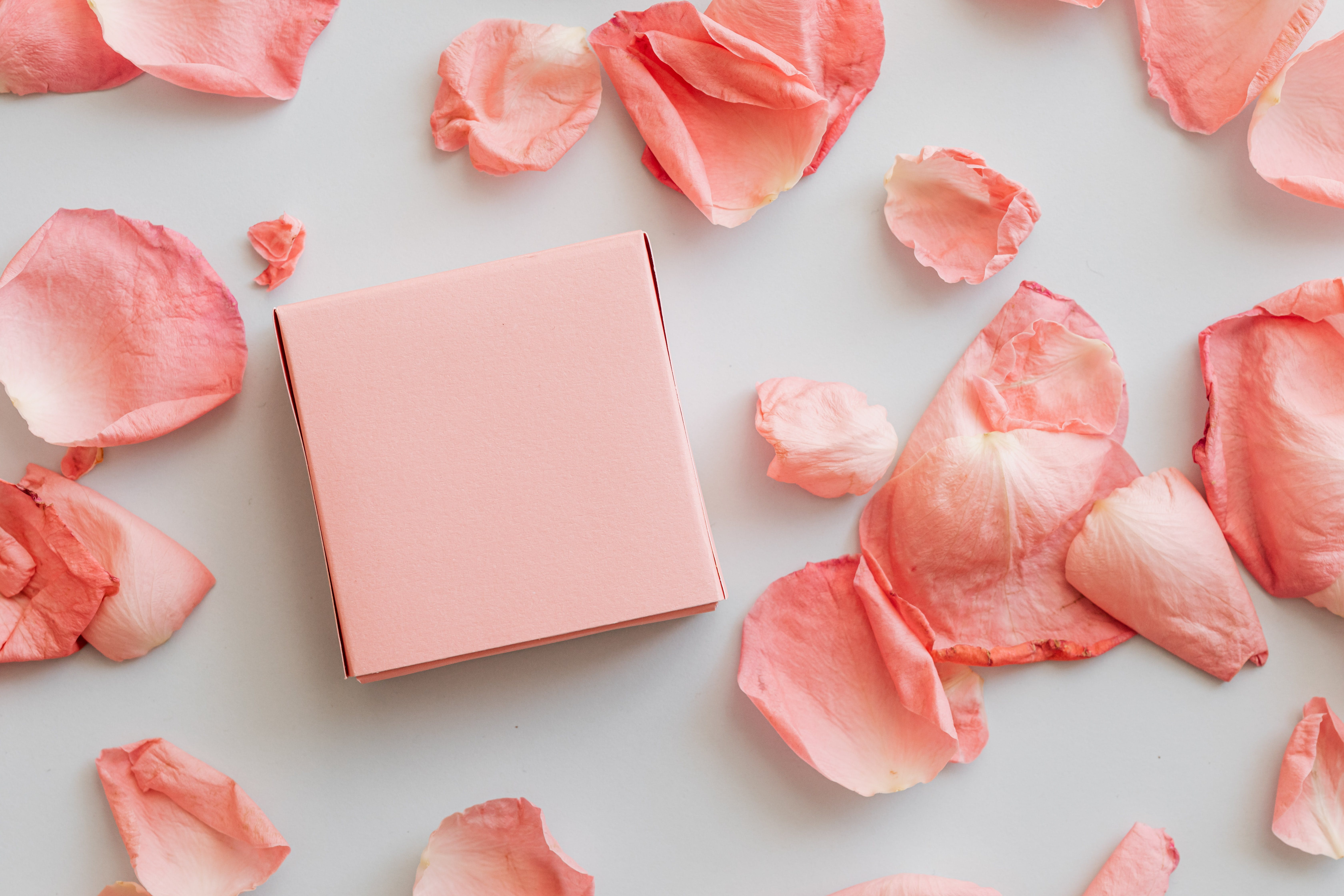 peach box and peach flower petals on a white surface