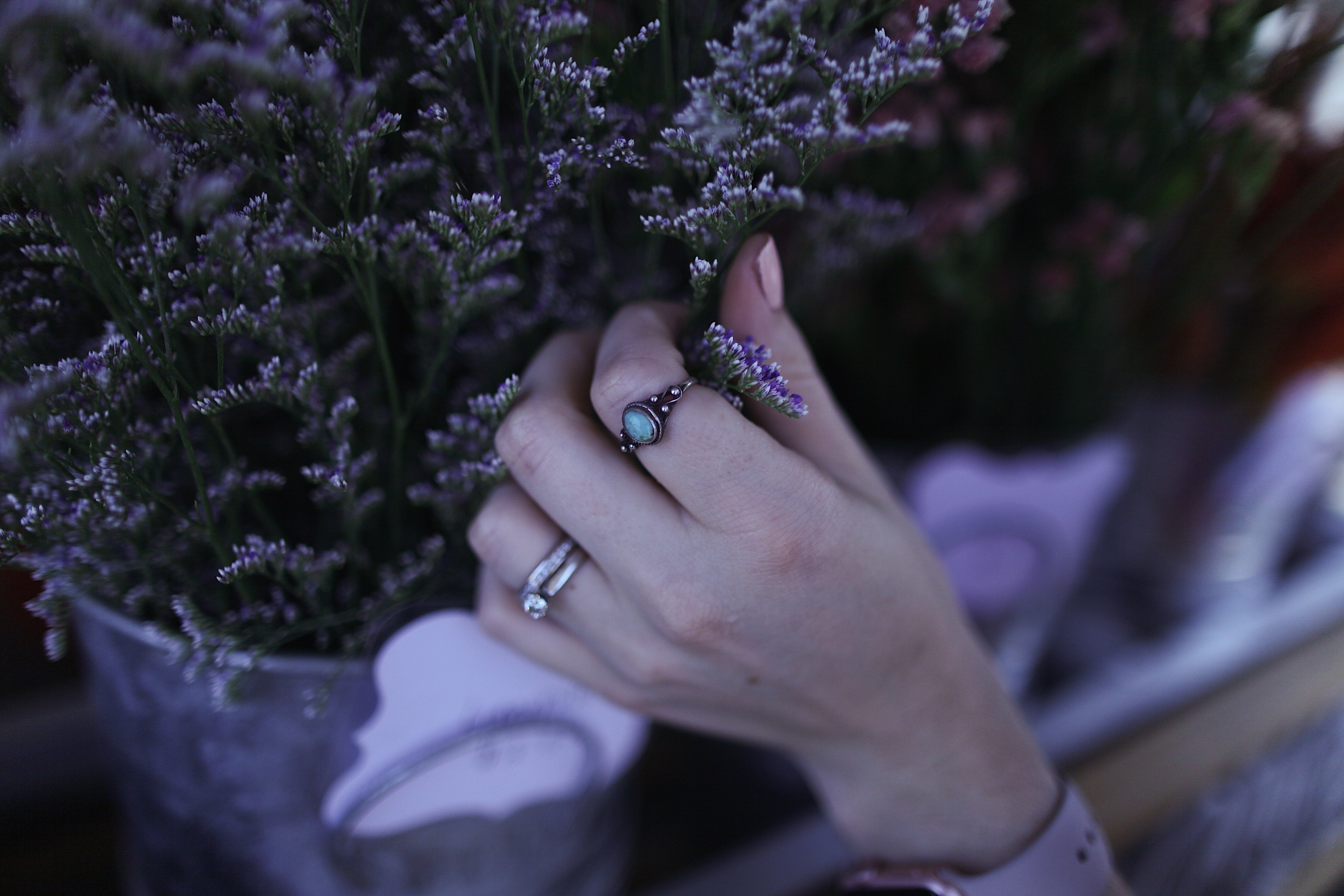 woman's hand with minimalist  rings holding lavender plants