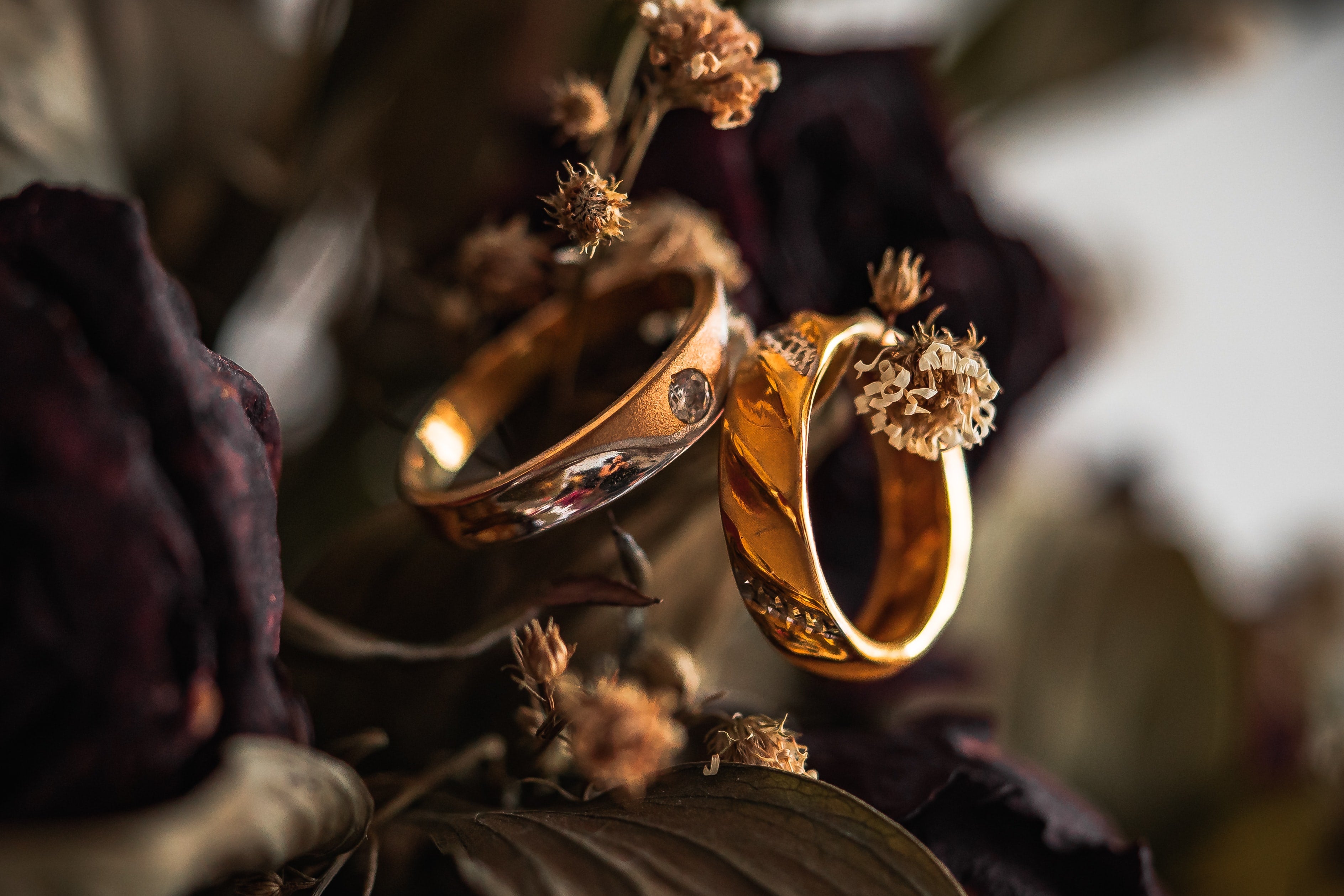 two gold ring hanging from a flower