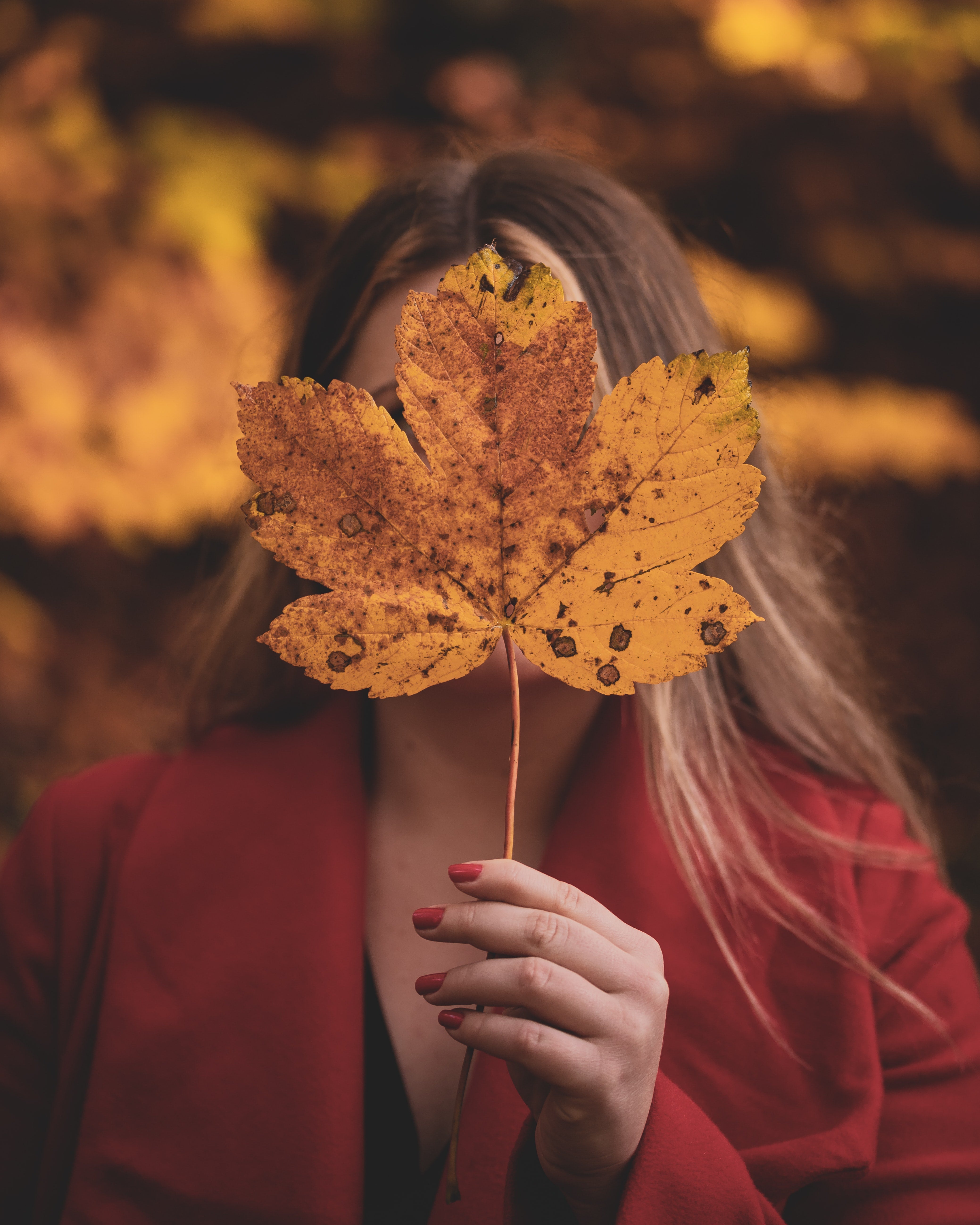 woman in red with red nails holding up an autumn leaf up her face