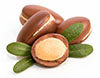 Argan Oil for hair