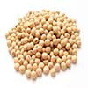 Soy Protein for soft hair