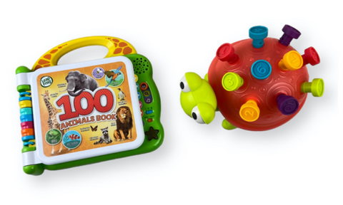 Two educational toys for one year old animal words book and sorting toy