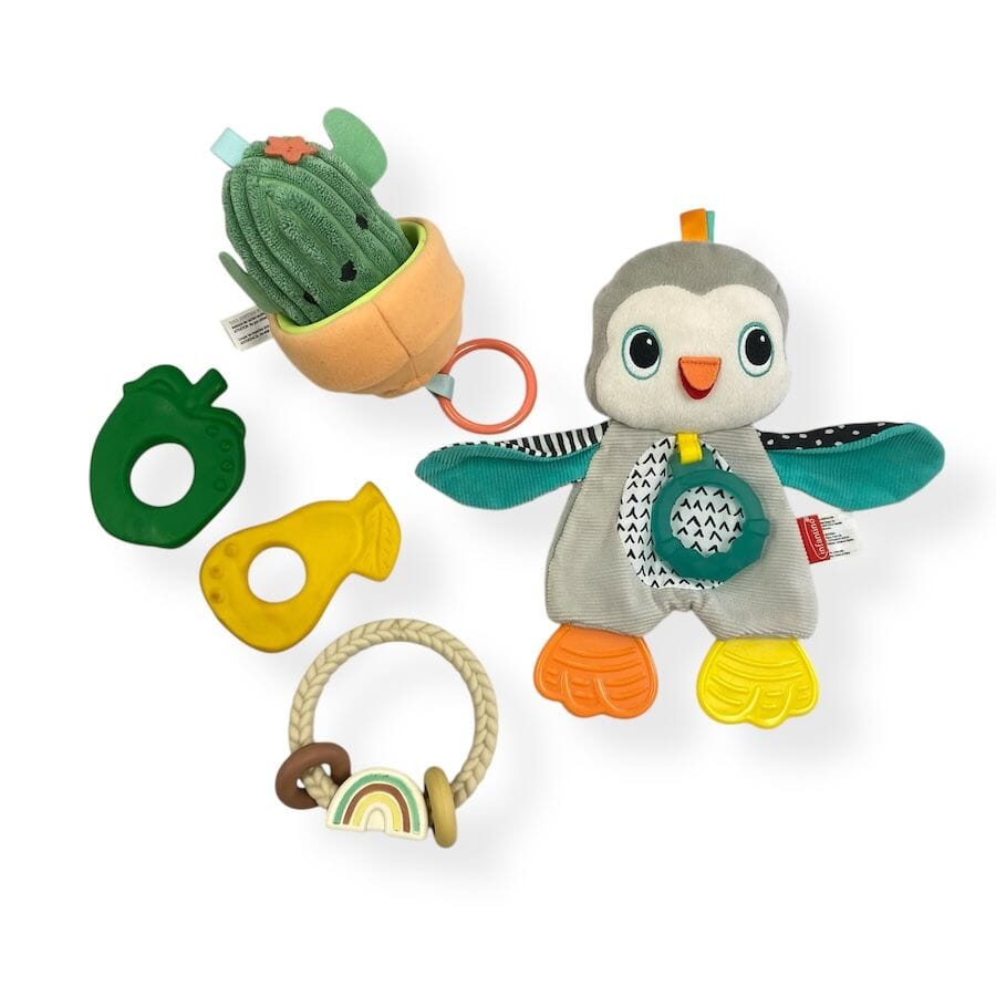 Sensory Teether Bundle with Cactus