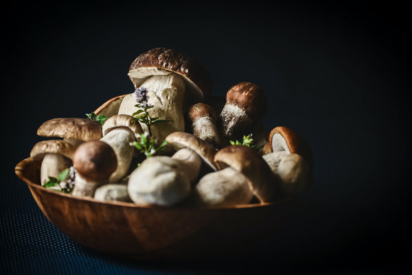 Mand met verse paddenstoelen