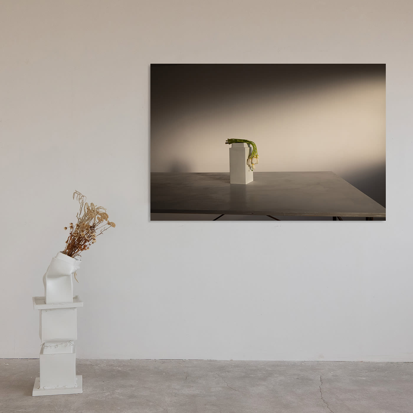 Tulips in Brenta Limited Edition Photograph - Alternative view 1