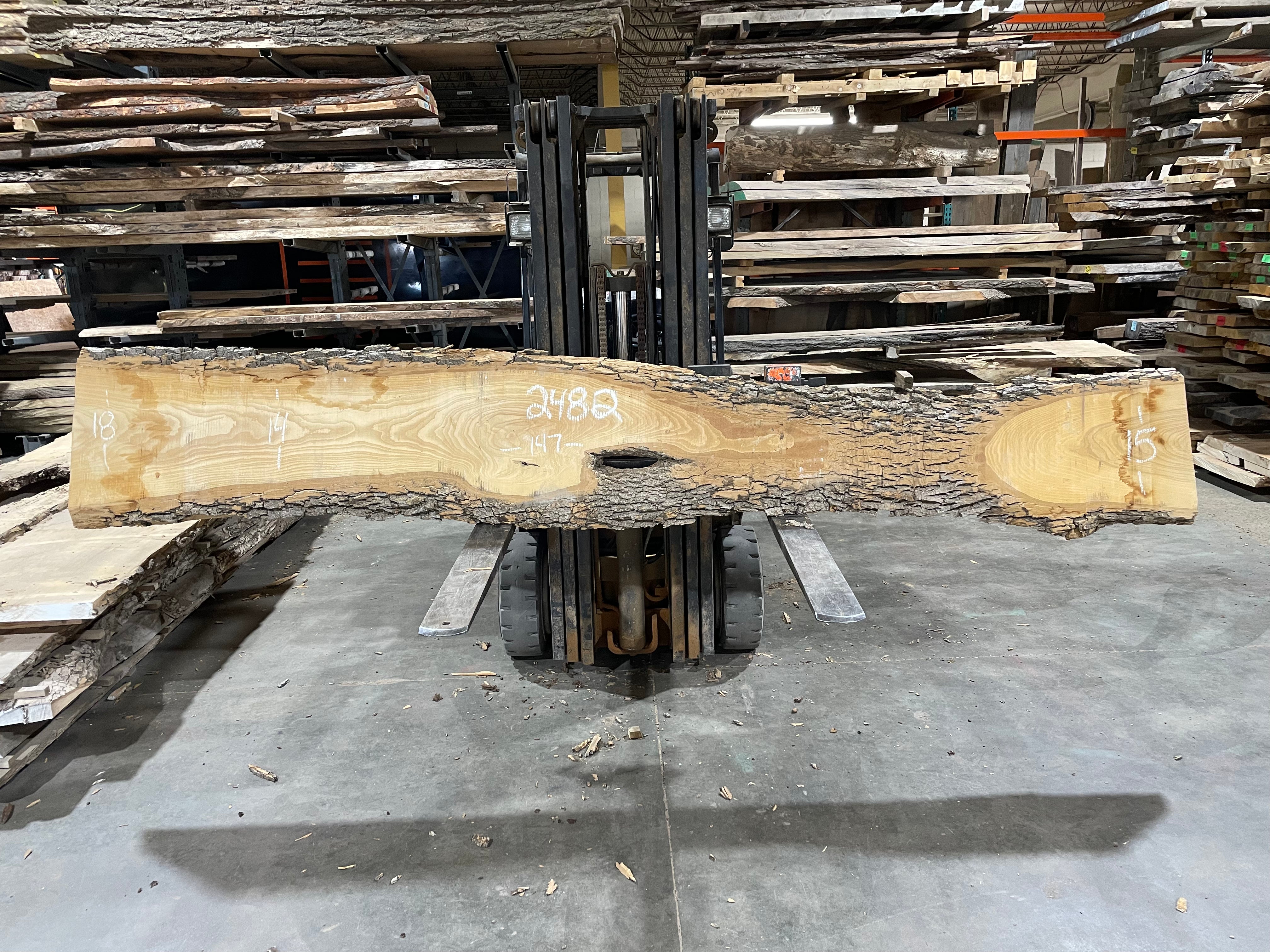 Ash (2482) 147” L x 15-18” W x 2.5” T