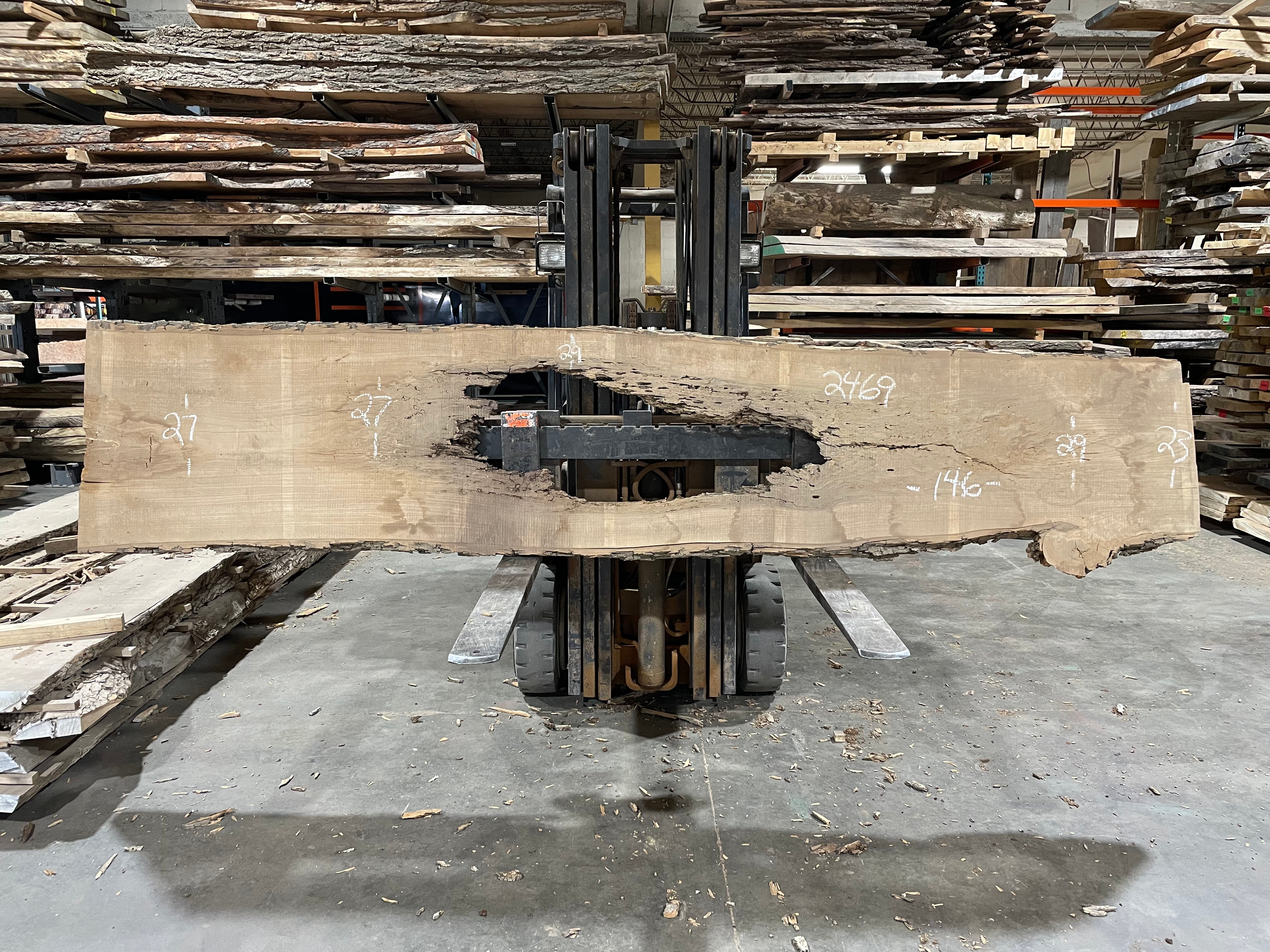 Ash (2469) 146” L x 23-29” W x 2.5” T