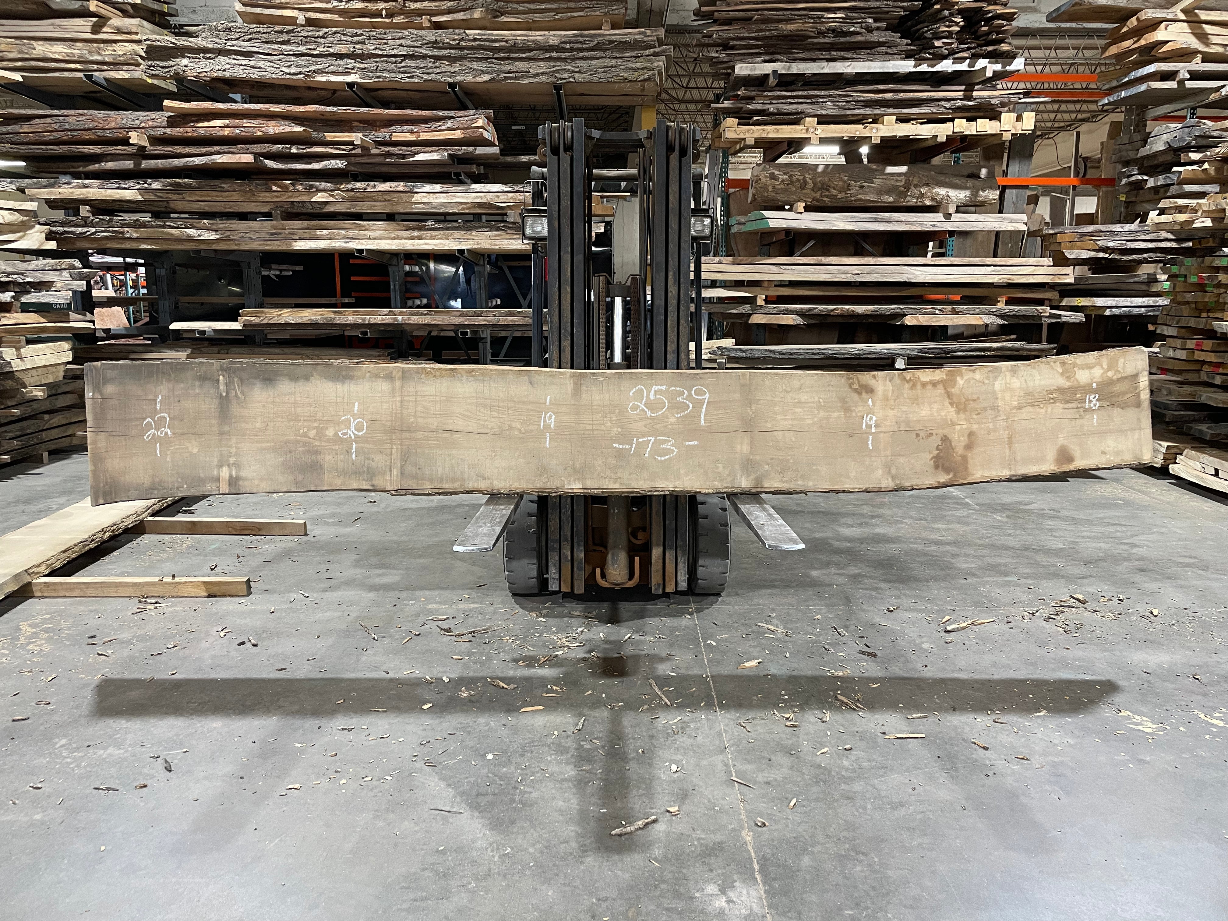 Ash (2539) 173” L x 18-22” W x 2.5” T