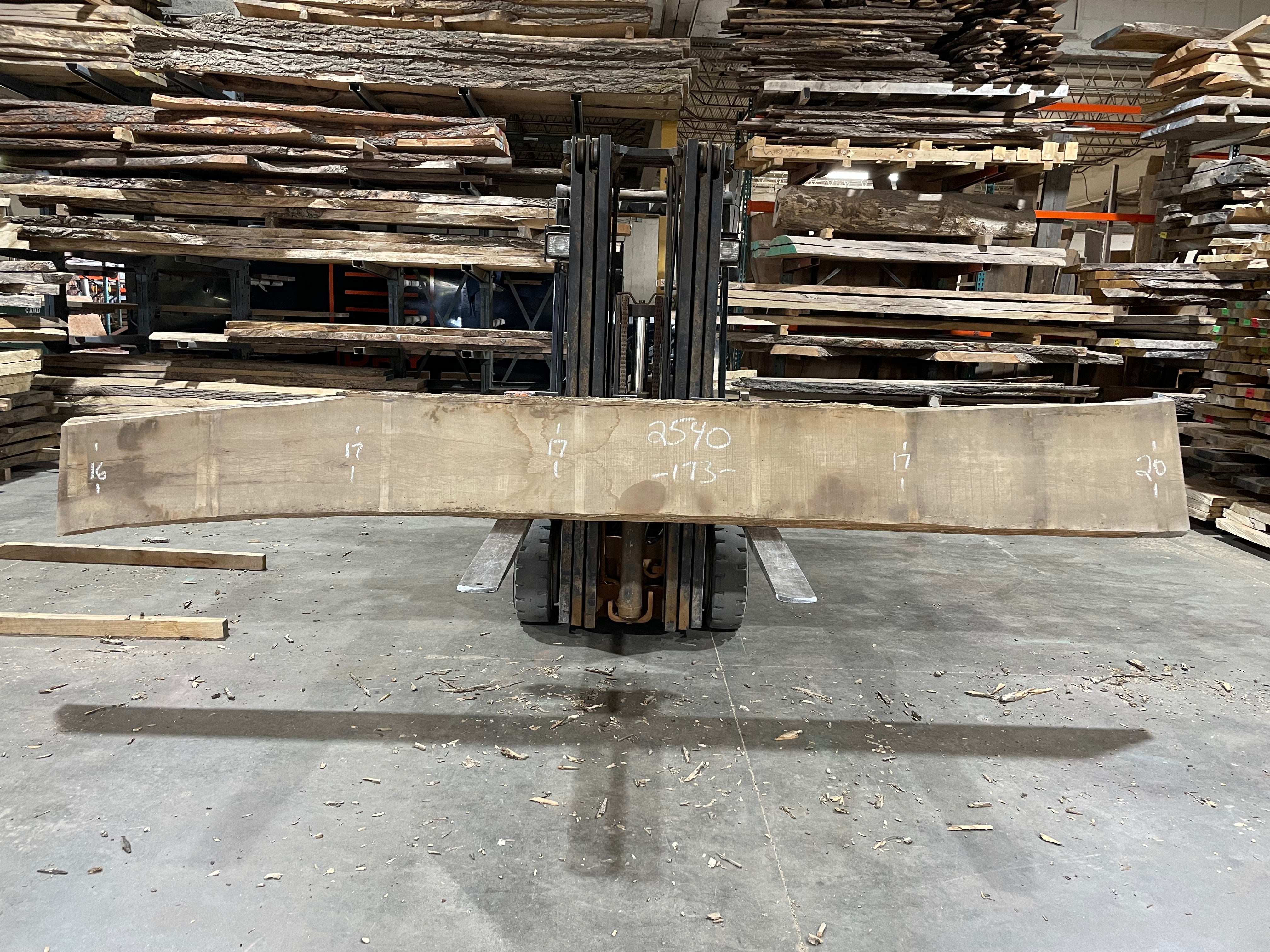 Ash (2540) 173” L x 16-20” W x 2.5” T