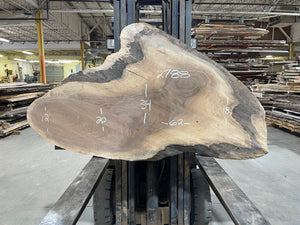 Black Walnut (2788)  62” L x 12-34” W x 2” T - KC Custom Hardwoods