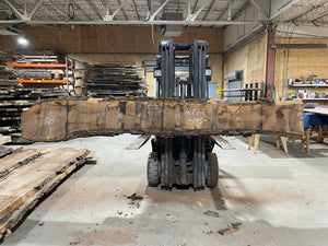 BLACK WALNUT (2772)  145” L x 11-20” W x 2.75” T - KC Custom Hardwoods