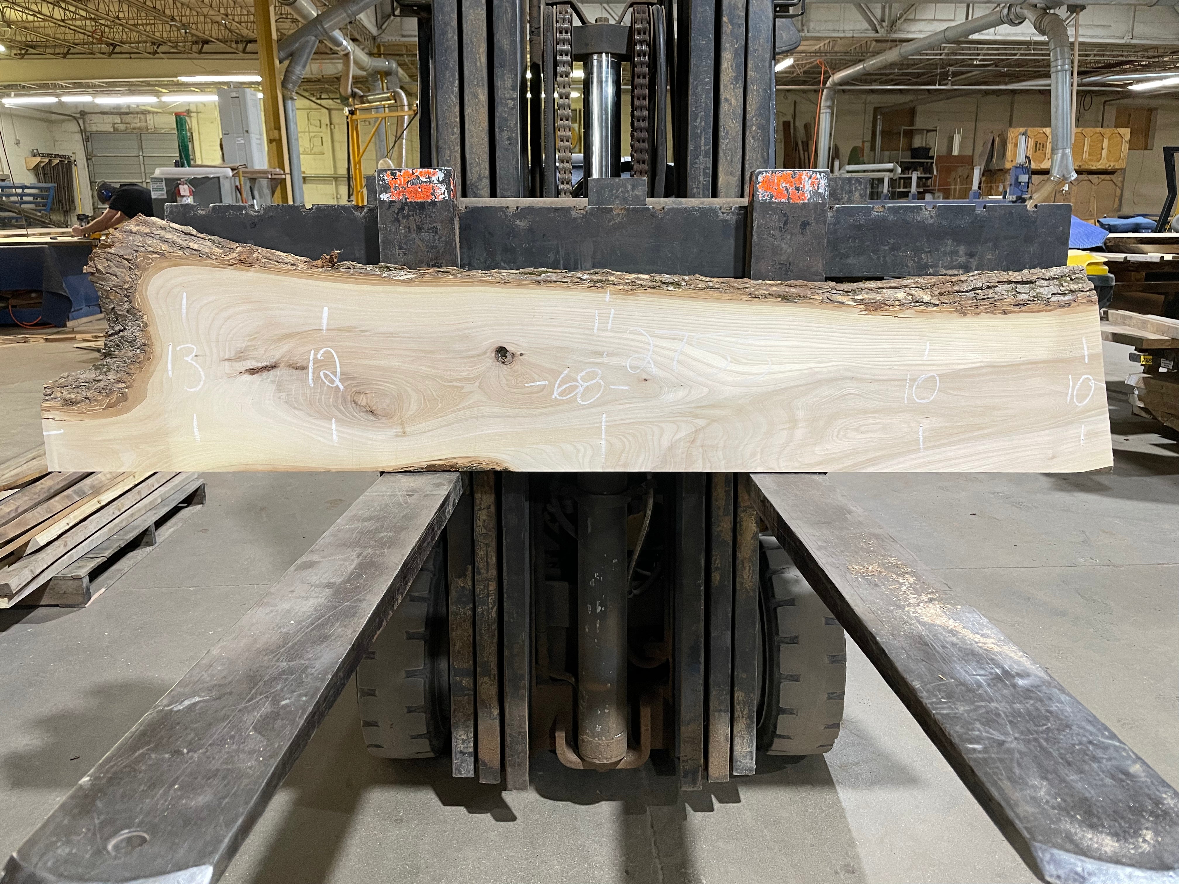 AMERICAN ELM (2755) 68” L x 10-13” W x 1.5” T