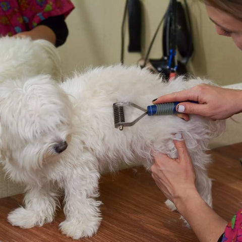 Undercoat Rakes for dog