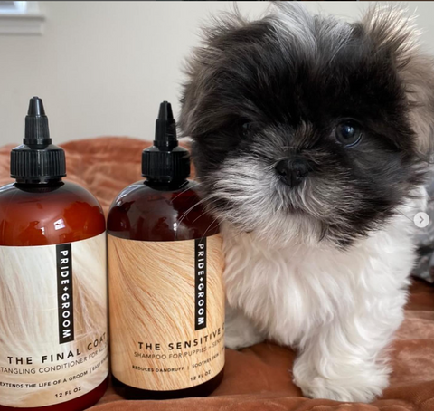 sensitive dog shampoo