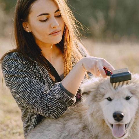 Slicker Brushes for dog