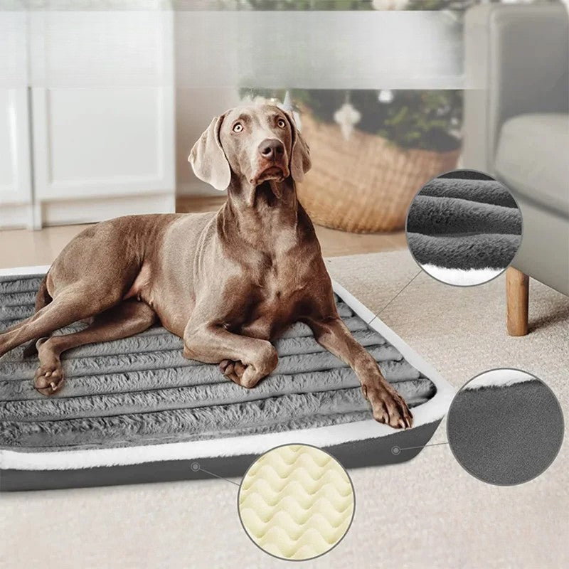 matelas-chien-orthopedique mousse-coquille d'oeuf