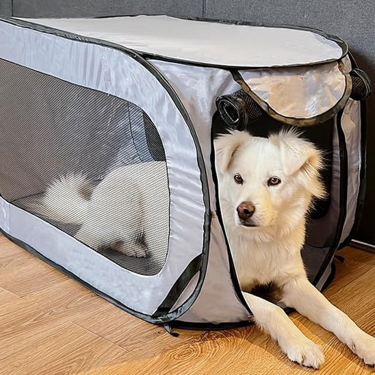 niche chien doggygalaxie