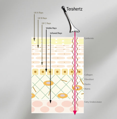 Terahertz Effect on skin