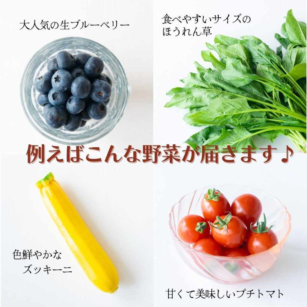 ブルーベリーのお野菜詰め合わせ　果物