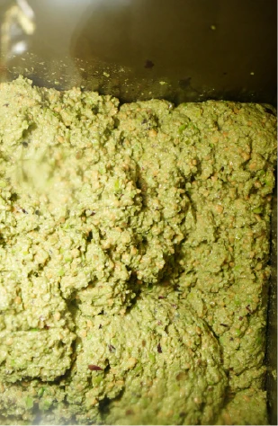 Olive Paste Being Gently "Malaxed" In Our Olive Mill To Prepare It For Separation.