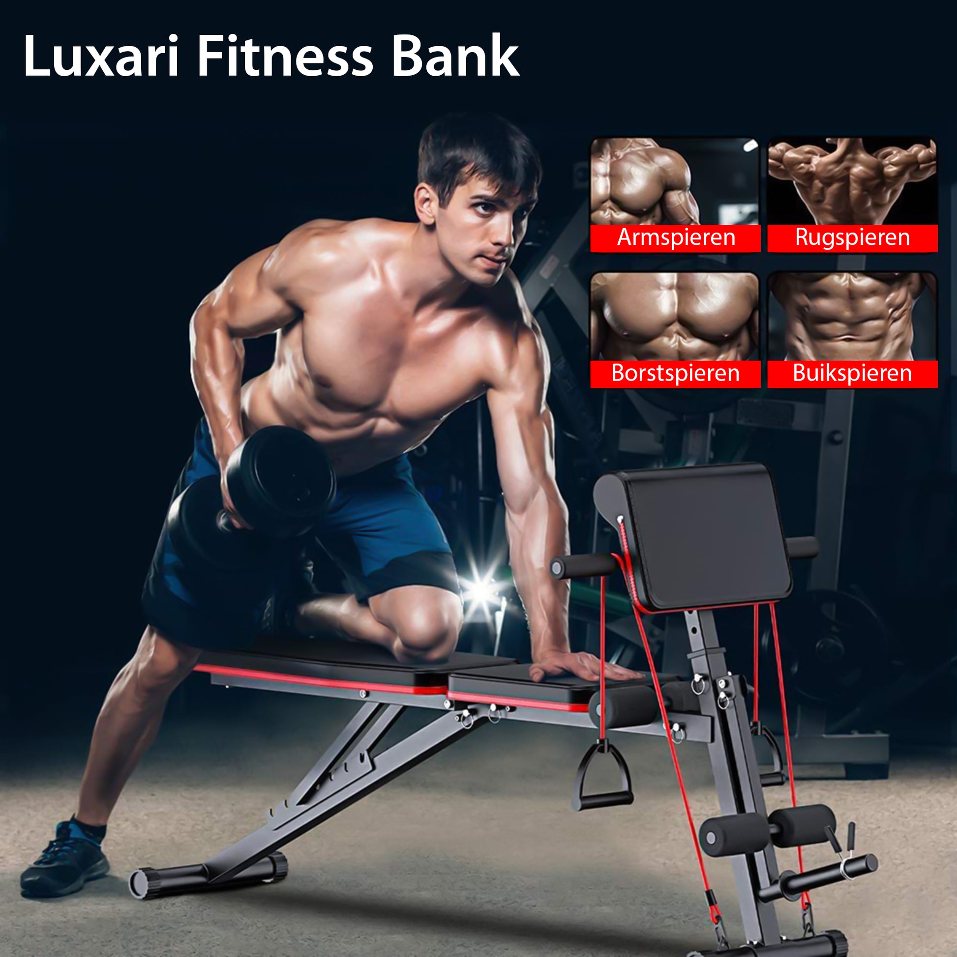 Luxari - Fitness Bank Bicep Extensie – LuxariFitness