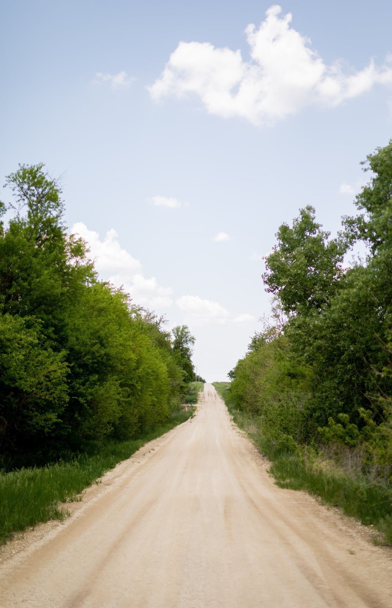 road to peony farm