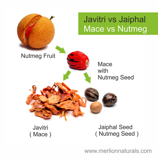 Javitri vs Jaiphal ( Mace vs Nutmeg )