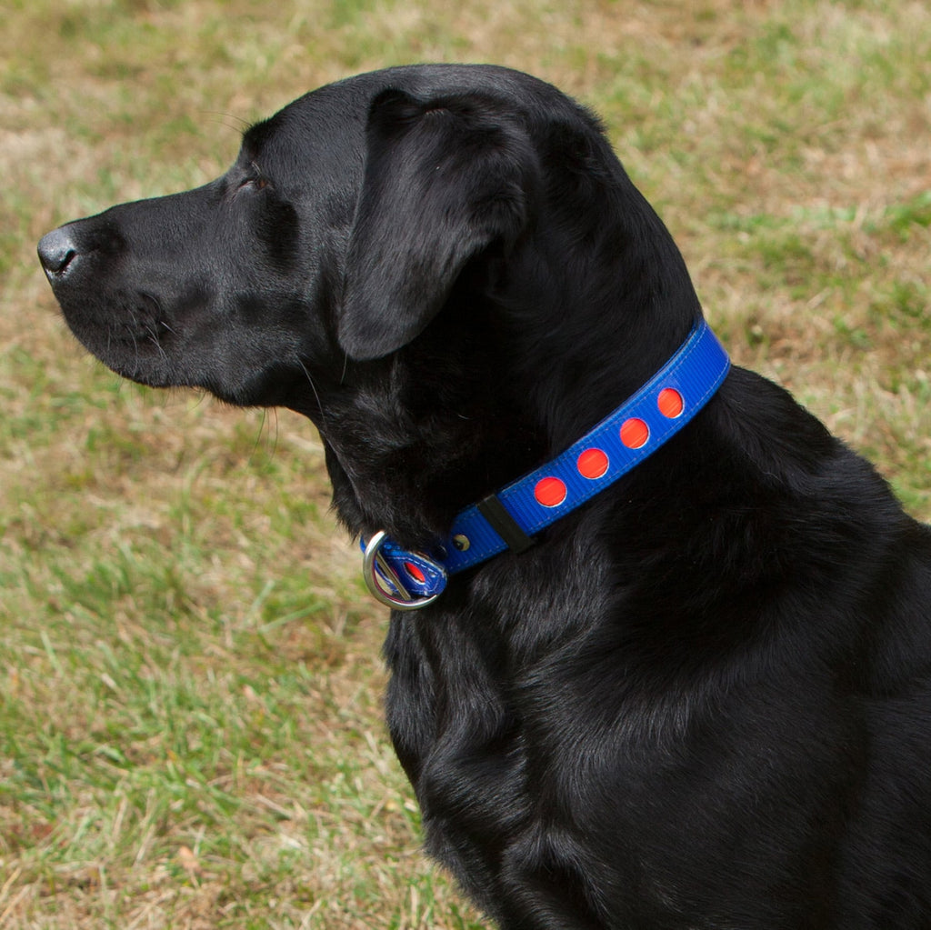 Adjustable / 28cm-46cm Pet Collar in Visetos Black