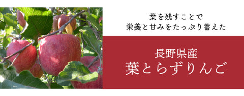 長野県産ふじ葉とらずりんご