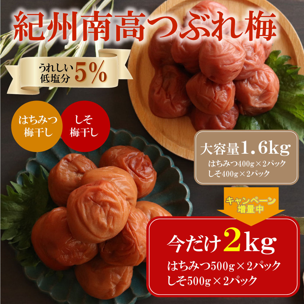 訳あり☆完熟白干し梅 1.8kg入り(塩分20％) 【WEB限定】 - その他 加工食品