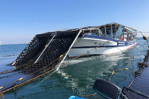 釣ヤ　兵庫県明石市より産地直送の海苔