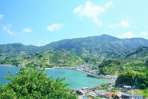 フレッシュつちやま　愛媛県吉田町より産地直送のみかん